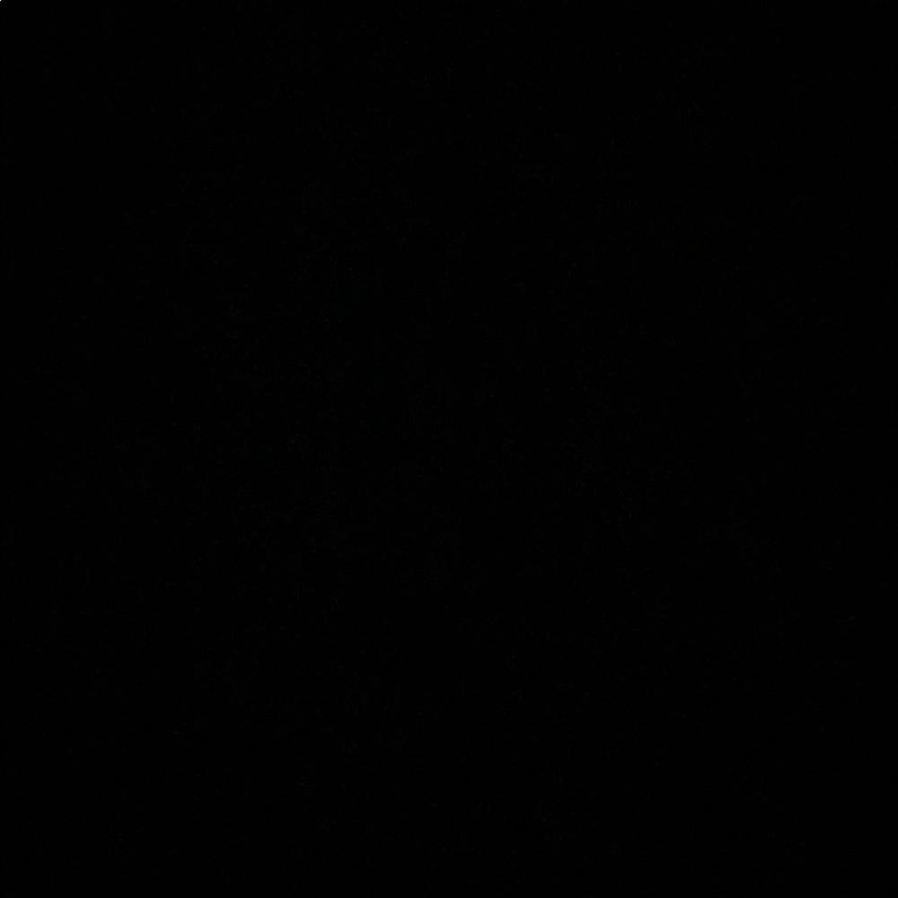 Meet your Posher, Lily